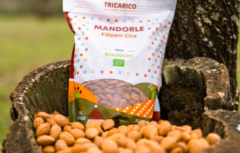 categoria mandorle biologiche speziate