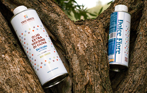 Organic Etxtra Virgin Oil