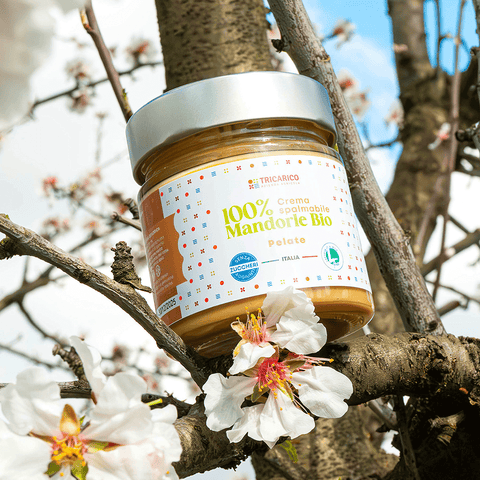 Dettaglio di Crema di Mandorle Bio 100% – Pelate