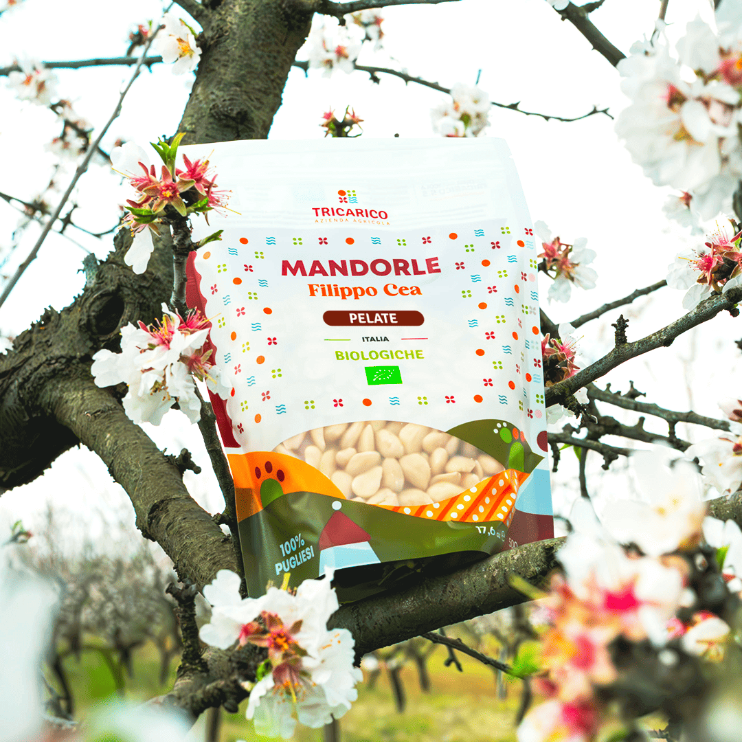 Mandorle di Toritto Bio 100% Filippo Cea – Pelate