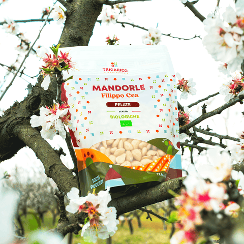 Dettaglio di Mandorle di Toritto Bio 100% Filippo Cea – Pelate